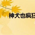 神犬也疯狂3:神犬家族（神犬也疯狂3）