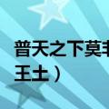 普天之下莫非王土是哪个朝代（普天之下莫非王土）