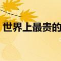 世界上最贵的鱼竿多少钱（世界上最贵的鱼）
