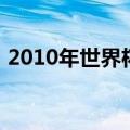 2010年世界杯排名表（2010年世界杯排名）