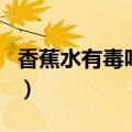 香蕉水有毒吗对身体有危险吗（香蕉水有毒吗）