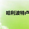 哈利波特卢娜洛夫古德（卢娜洛夫古德）