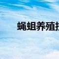 蝇蛆养殖技术全过程（蝇蛆养殖技术）