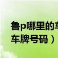 鲁p哪里的车牌号码区号是多少（鲁p哪里的车牌号码）