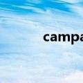 campaign啥意思（gn啥意思）