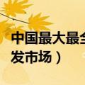 中国最大最全的干花批发市场在哪里（干花批发市场）