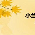 小兰花茶叶直播（小兰h）