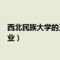 西北民族大学的王牌专业及热门专业（西北民族大学最好专业）