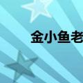 金小鱼老公是李慕白（金小鱼老公）