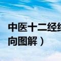 中医十二经络走向图解大全（中医十二经络走向图解）