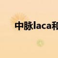 中脉laca和中脉JM的区别（中脉laca）