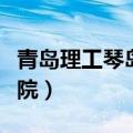 青岛理工琴岛学院是二本吗（青岛理工琴岛学院）