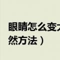 眼睛怎么变大自然方法视频（眼睛怎么变大自然方法）