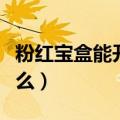 粉红宝盒能开出什么东西（粉红宝盒能开出什么）