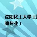 沈阳化工大学王牌专业排名及录取分数线（沈阳化工大学王牌专业）