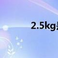 2.5kg是多少斤（kG是多少斤）