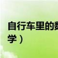 自行车里的数学手抄报六年级（自行车里的数学）