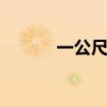 一公尺有多长多少米（一公尺）