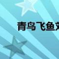 青鸟飞鱼刘锐何必平（青鸟飞鱼刘锐）