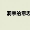 洞察的意思是什么(简写)（洞察的意思）