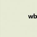 wb100028（wb1000）