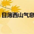 日薄西山气息奄奄拼音（日薄西山气息奄奄）