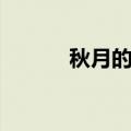 秋月的诗句唯美（秋月的诗句）