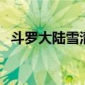 斗罗大陆雪清河和雪崩（斗罗大陆雪清河）