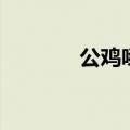 公鸡啄了（公鸡被宰前说话）