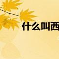 什么叫西方国家（美国属于欧洲吗）