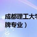 成都理工大学王牌专业是啥（成都理工大学王牌专业）