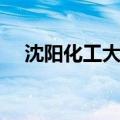 沈阳化工大学是几本（沈阳大学是几本）