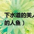 下水道的美人鱼电影主要讲的是什么（下水道的人鱼）