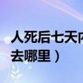 人死后七天内会去哪里祭拜（人死后七天内会去哪里）