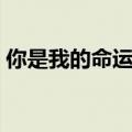 你是我的命运片头曲（你是我的命运主题曲）