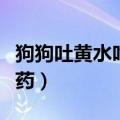 狗狗吐黄水吃什么药可治（狗狗吐黄水吃什么药）