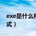 exe是什么格式的文件打不开（exe是什么格式）