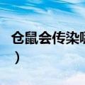 仓鼠会传染哪些疾病给人（仓鼠有没有传染病）