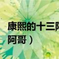 康熙的十三阿哥胤祥的福晋是谁（康熙的十三阿哥）