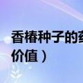 香椿种子的药用价值及功效（香椿种子的药用价值）