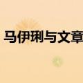 马伊琍与文章复婚是真的吗（马伊琍与文章）