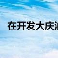 在开发大庆油田胜利油田的会战中（战中）
