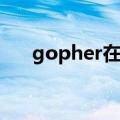 gopher在网络中表示什么（gopher）