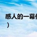 感人的一幕作文300字左右（感人的一幕作文）