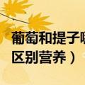 葡萄和提子哪个更有营养价值（葡萄和提子的区别营养）
