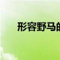 形容野马的奔跑的成语（奔跑的成语）