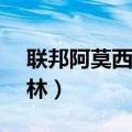 联邦阿莫西林胶囊说明书0.25（联邦阿莫西林）