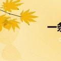 一条船多少钱（一条船）