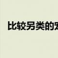 比较另类的宠物是什么（另类宠物排行榜）