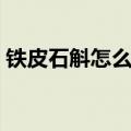 铁皮石斛怎么吃效果最佳（铁皮石斛怎么吃）